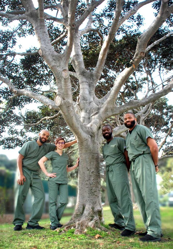 Team standing around large tree